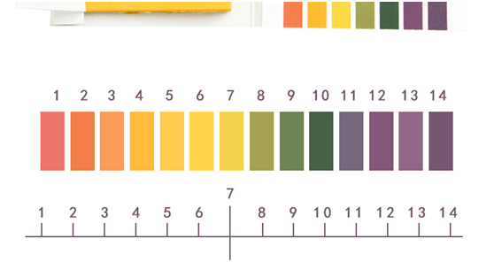 1725326594578222.png 7-6.png